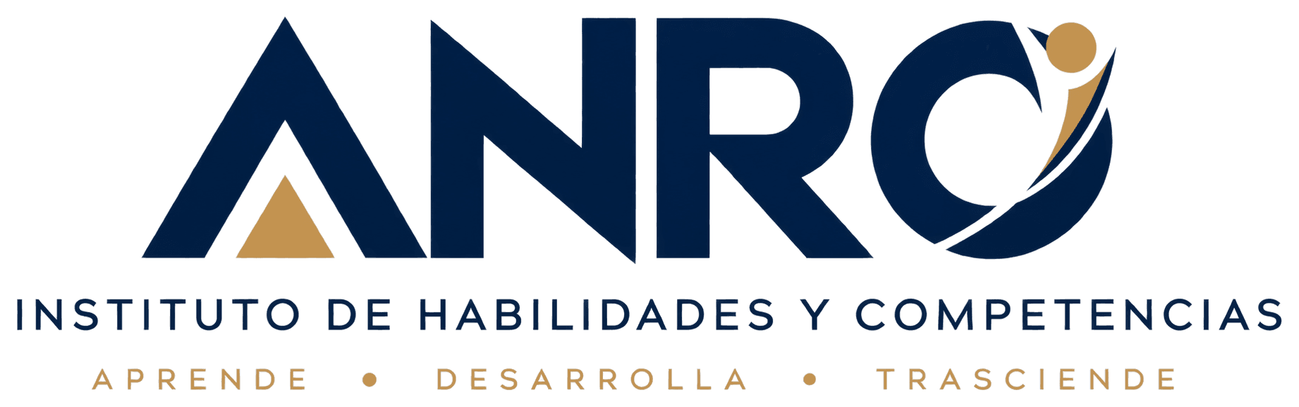Logotipo de ANRO Instituto de Habilidades y Competencias